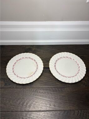 Vintage Myott Pink Petite Dinner Plates Set of 2 Made in England